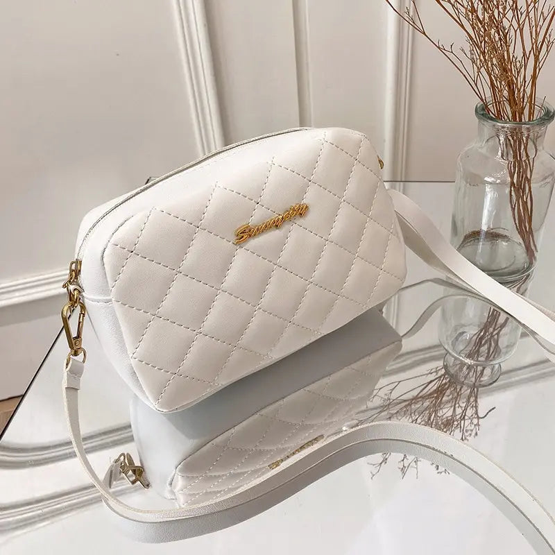 Trendy Lingge Embroidery Canvas Camera Crossbody Bag | Fashion Chain Tassel Small Messenger Bag for Women Luxegan