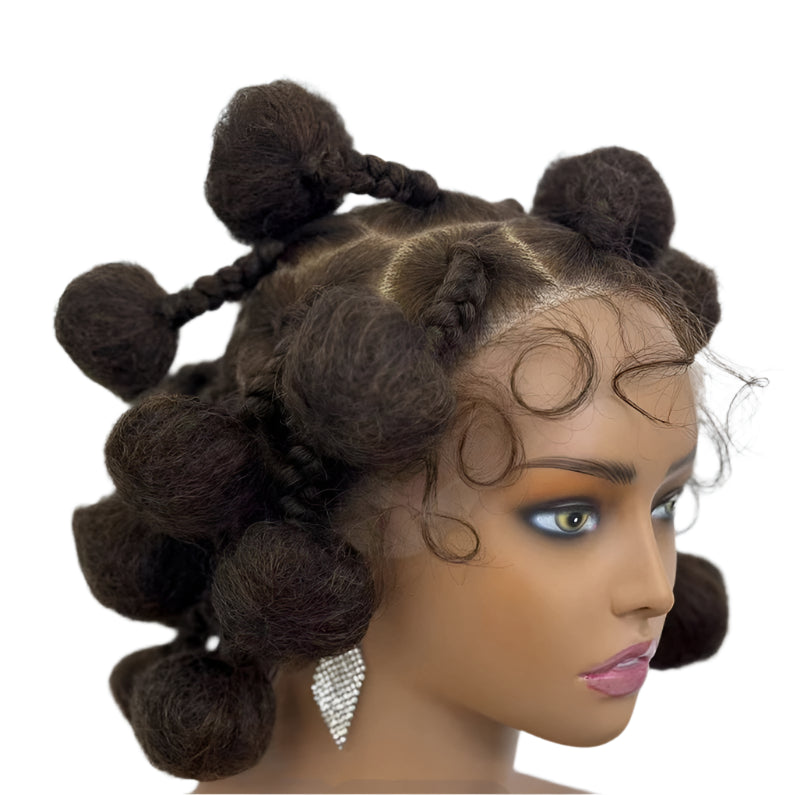 Bun Braided Wig | Full Lace | Baby Hair | Kanekalon Hair | African Braids | Black Women