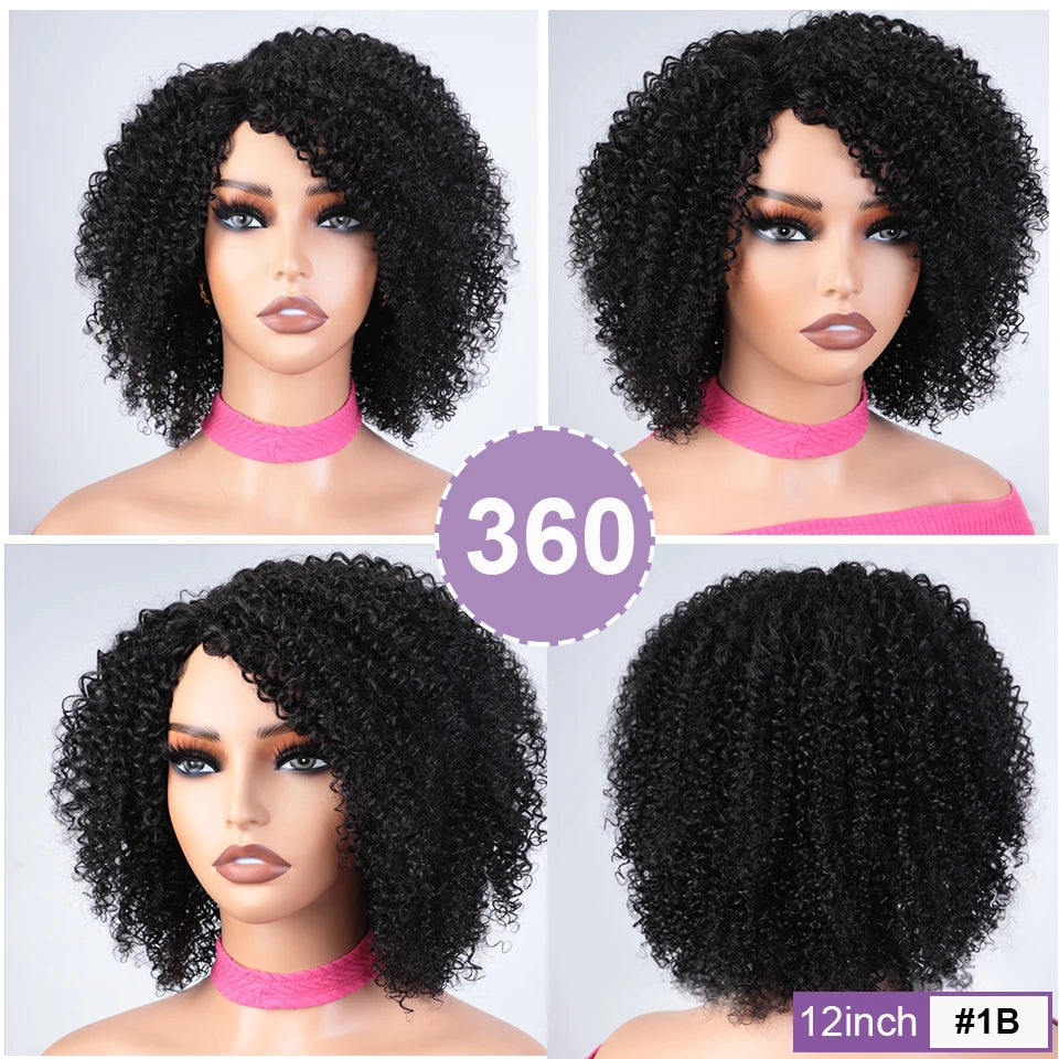 Afro Kinky Curly Black & Ombre T1B/30 Human Hair Wig | Brazilian Remy Machine Made Glueless Wigs for Women (Affordable) Luxegan