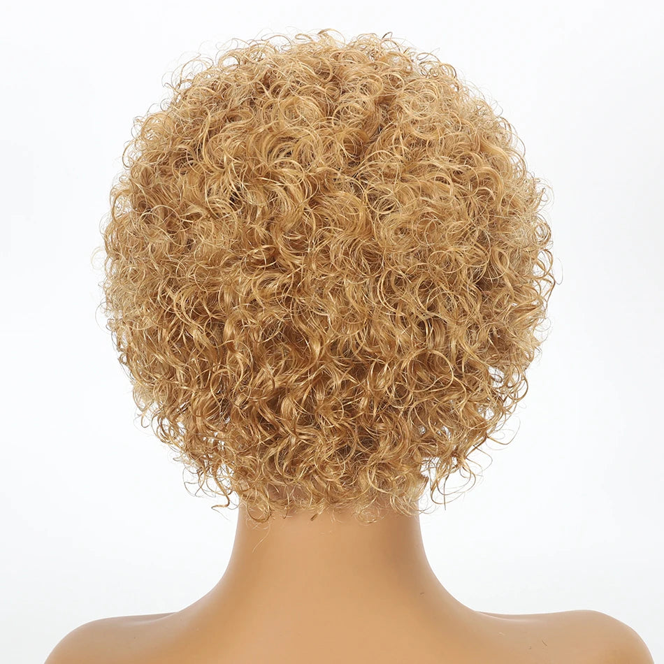 Ombre 1B/27 Pixie Cut Wigs Human Hair Curly Brazilian Virgin Hair 13x1 Transparent Lace Front Short Bob 180% Density