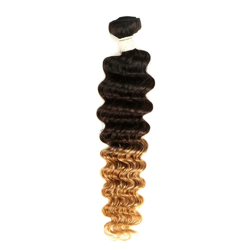Ombre Brazilian Deep Wave Human Hair Bundles | Remy 2 Tone Color T1B/27#, T1B/30#, T1B/99J# (1, 3, or 4 Pcs) Luxegan