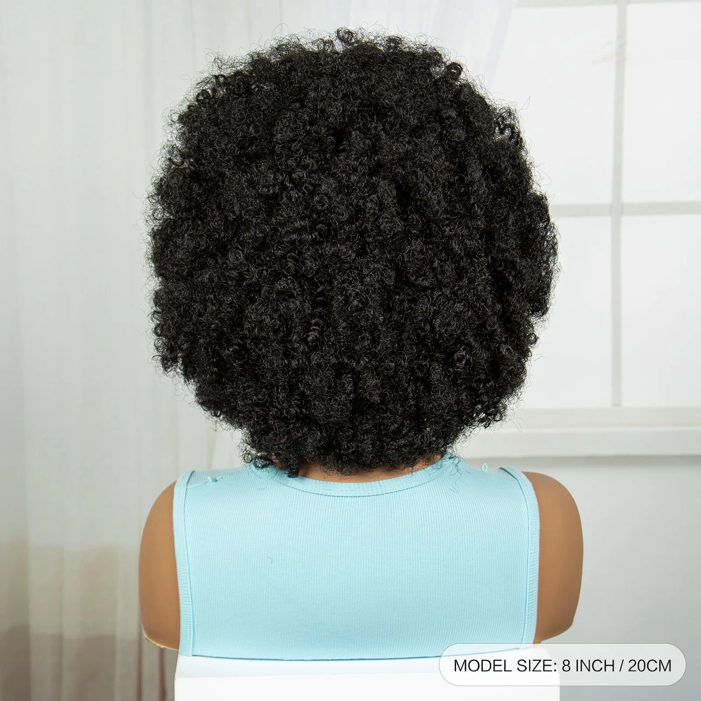 Short Natural Afro Kinky Curly Cornrow Braids Wig | Full Lace | Baby Hair Luxegan