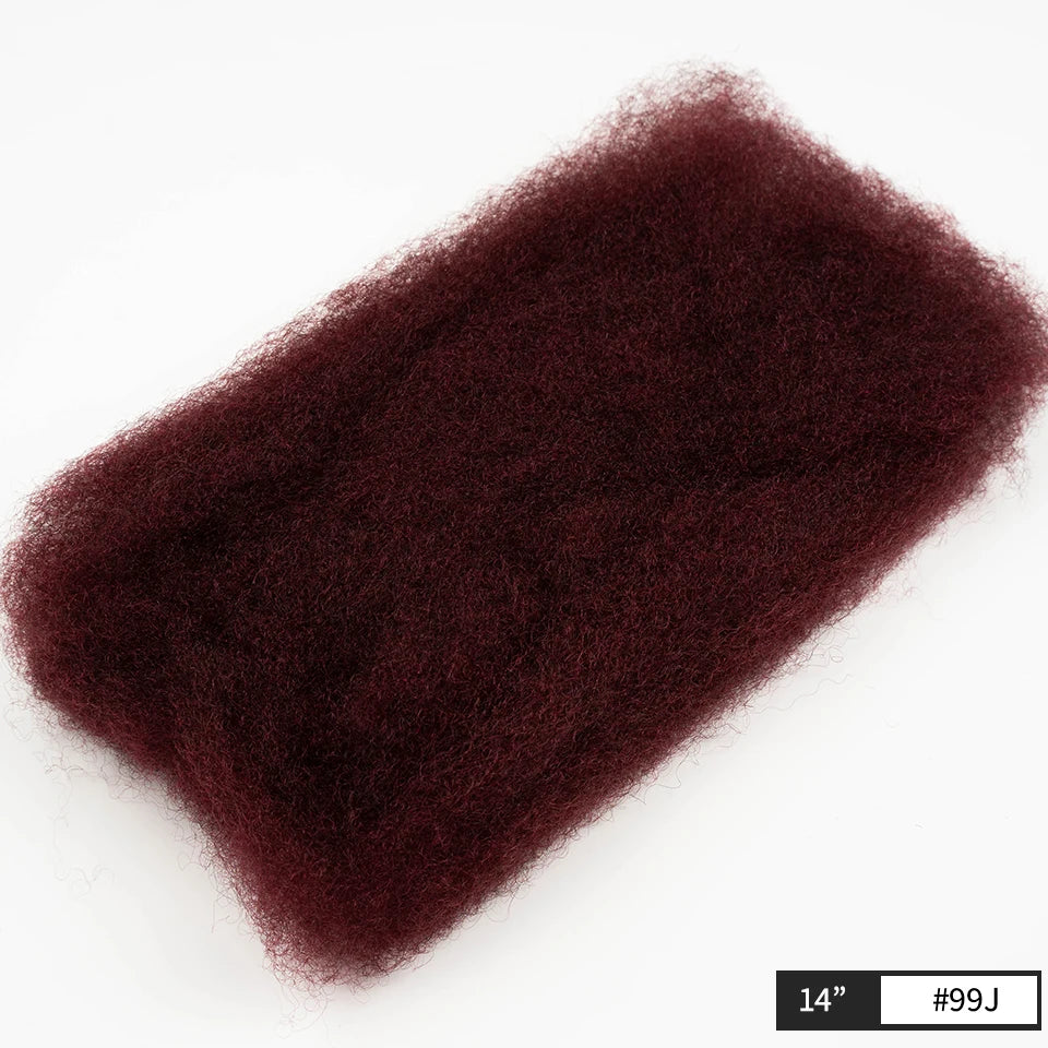 Afro Kinky Bulk Human Hair for Braids | Virgin Remy Extensions (Multi-Color Options) Luxegan