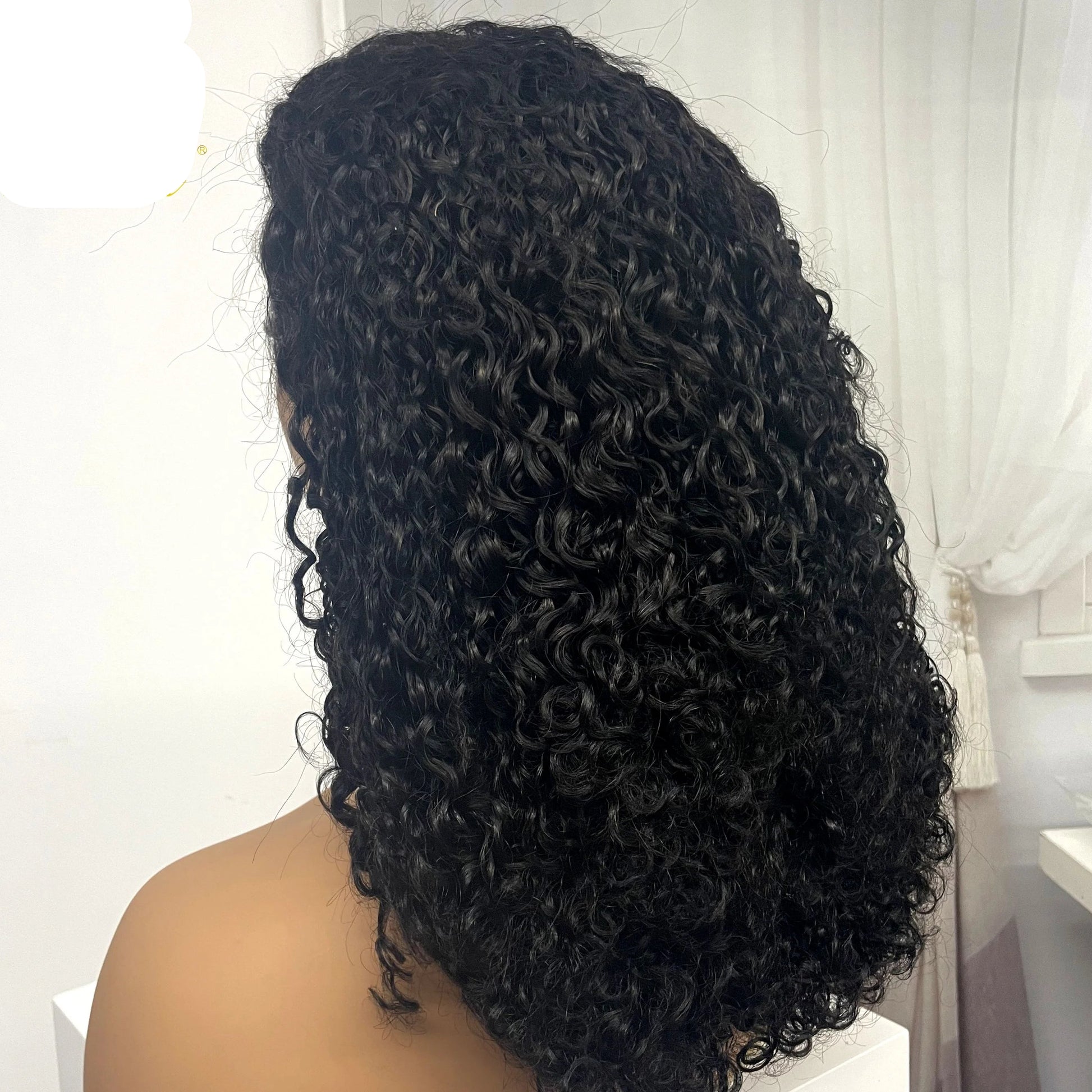 350% Density Pixie Curly HD Lace Frontal Wig | Bouncy Burmese Human Hair Luxegan