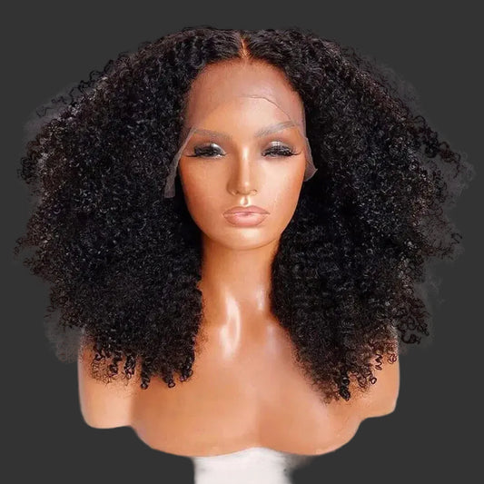 Afro Kinky Curly Lace Front Wig | 13x4 / 4x4 Transparent Lace Brazilian Remy Human Hair - view 2