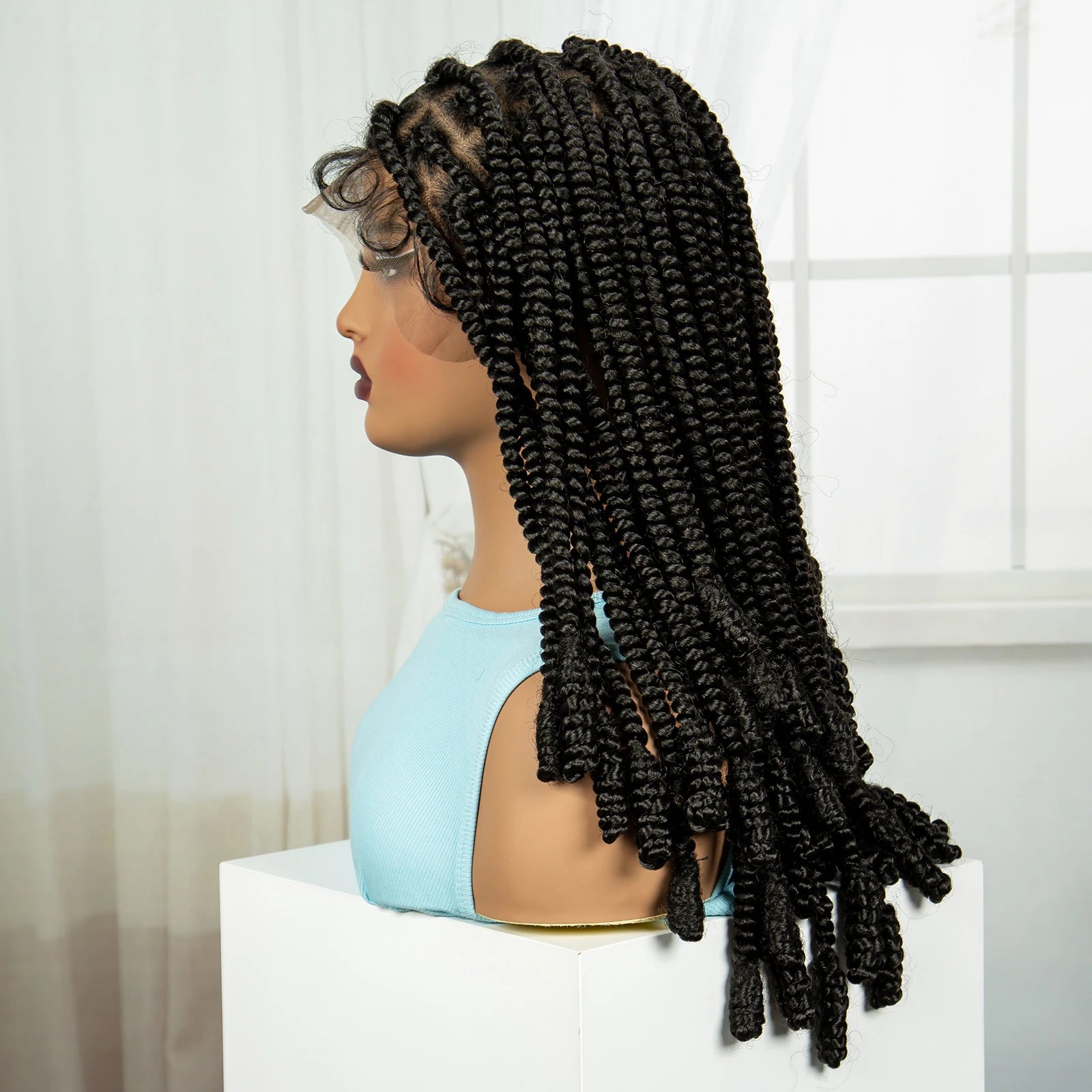 20 Inch Knotless Box Braids Full Lace Wig | Transparent Lace Synthetic Braided Wig with Baby Hair Luxegan