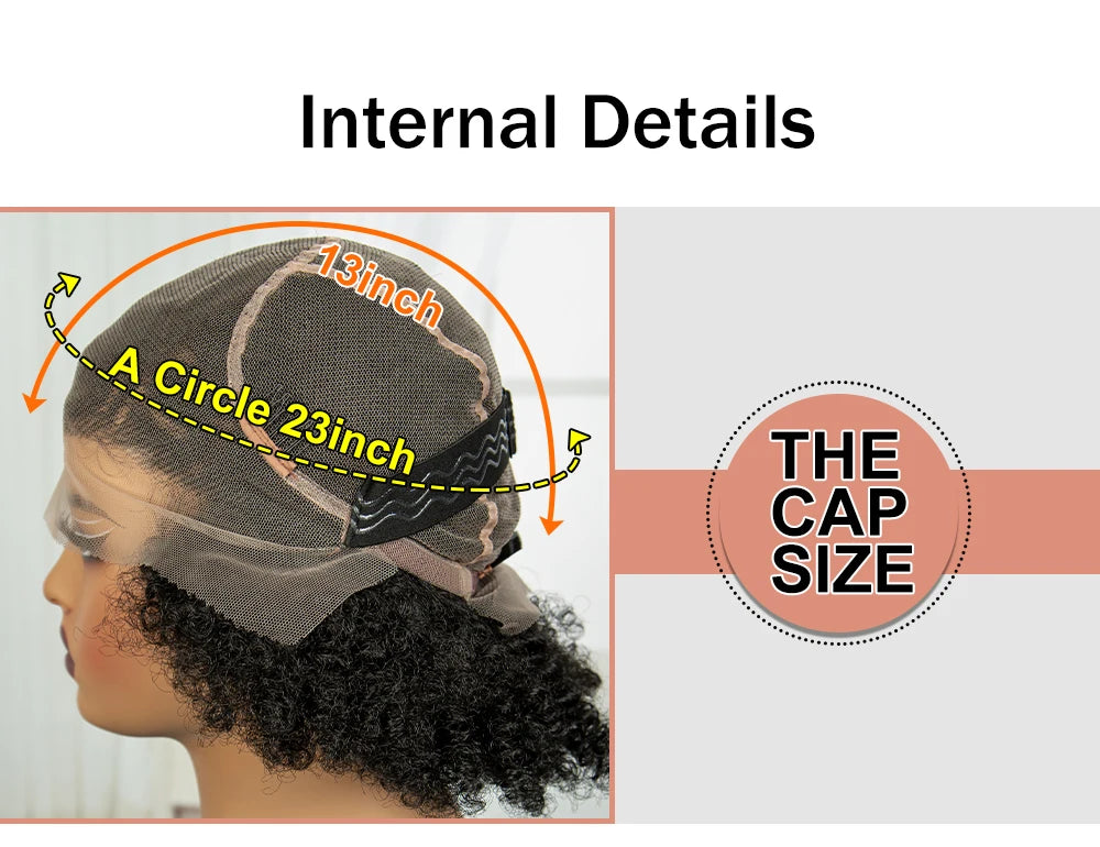 Afro Kinky Curly Cornrow Braids Wig | Transparent Full Lace | Baby Hair Luxegan