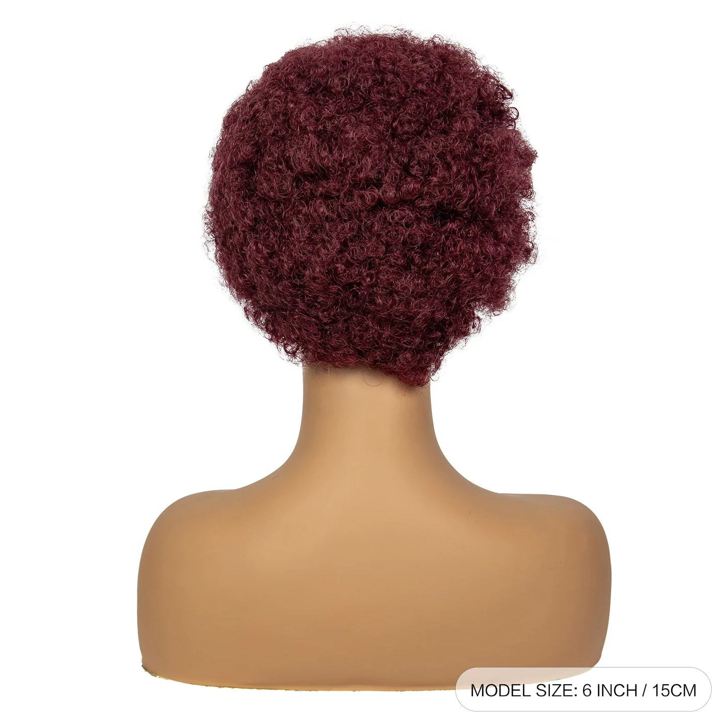 4-30 Color Synthetic Braided Wig | 13x4 Transparent Lace Front Short Afro Kinky Curly Knotless Braids Luxegan