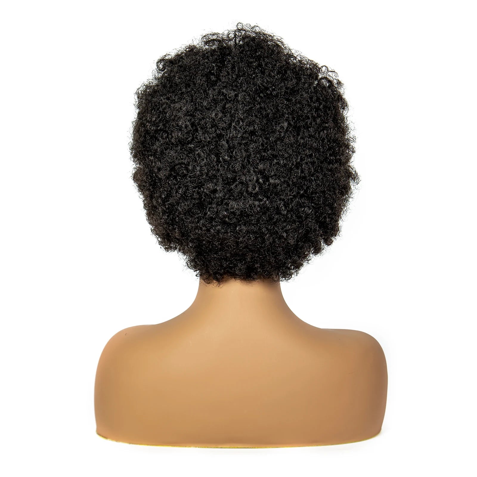 8" Natural Afro Kinky Curly Braids Wig | 13x6 Lace | Baby Hair | Bouncy Curls Luxegan