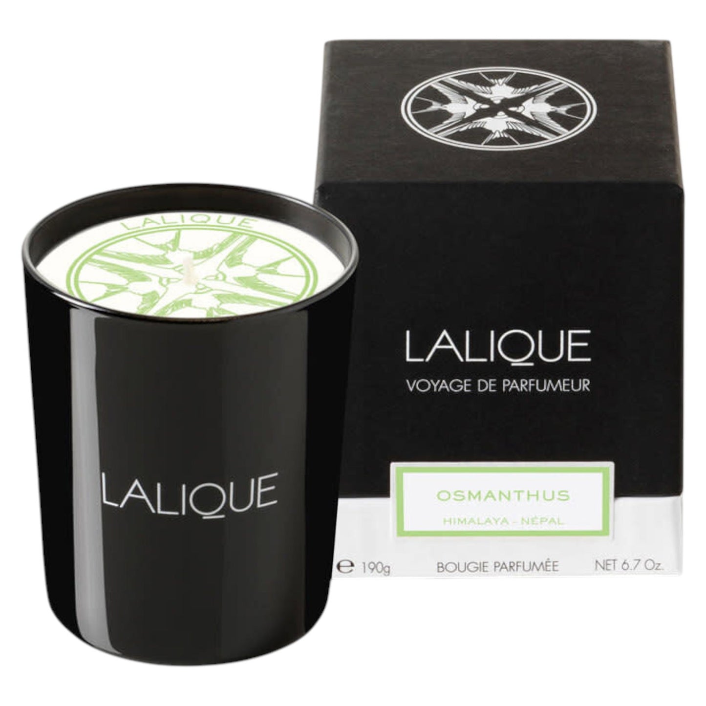 Lalique, Osmanthus Himalaya Nepal, Osmanthus, Scented Candle, 190 g