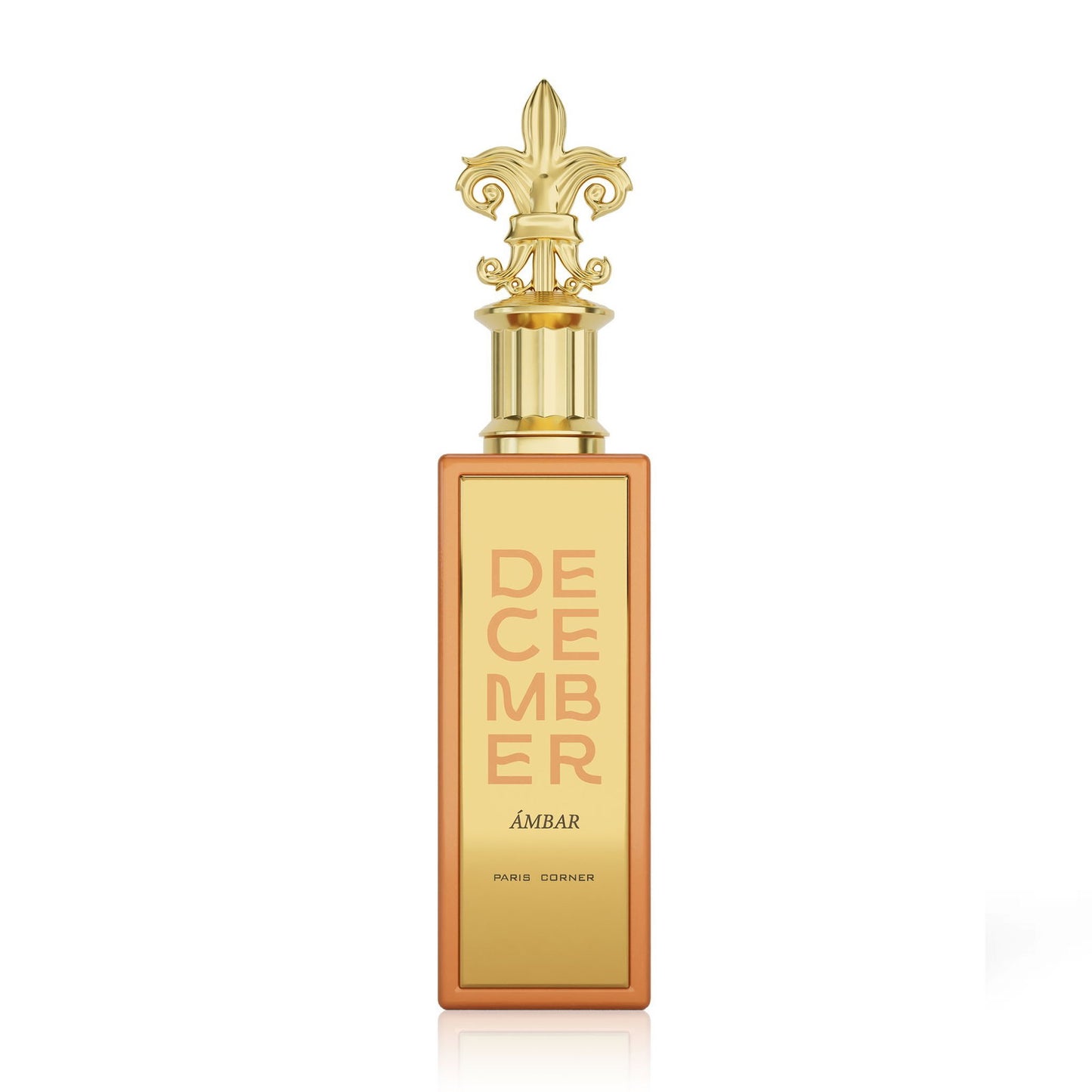 Paris Corner, December Ambar, Eau De Parfum, Unisex, 100 ml