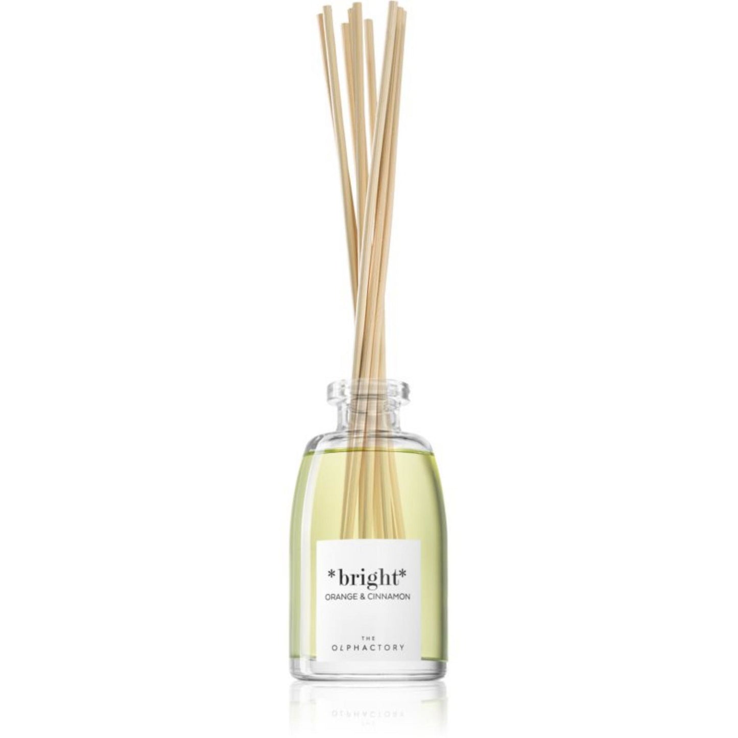 The Olphactory, Bright Orange & Cinnamon, Fragrance Sticks, Aroma Reed Diffuser, 250 ml