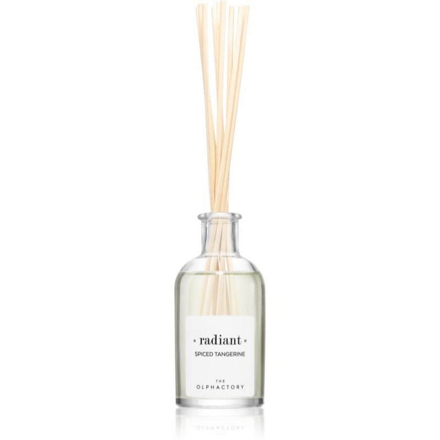 The Olphactory, Radiant Spiced Tangerine, Fragrance Sticks, Aroma Reed Diffuser, 100 ml