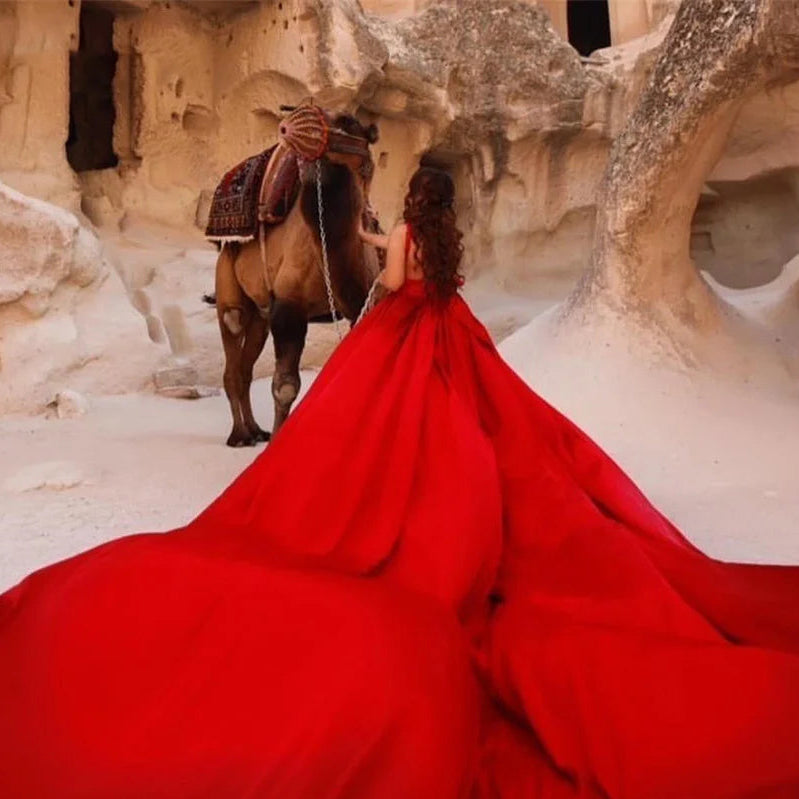 Elegant Sexy Red Party Dress | Soft Satin Celebrity Evening Gown with Long Train | Chic V-Neck Spaghetti Strap Special Occasion Dress | Model NY2024112707 Custom Plus Size Classic Prom Gown Luxegan