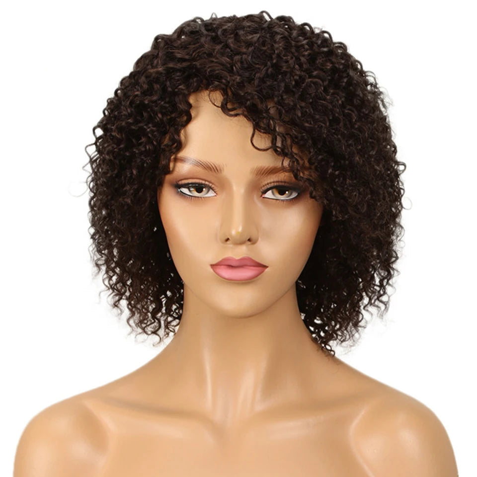Jerry Curl & Afro Kinky Curly Human Hair Wig - 100% Brazilian Remy Short Glueless Lace Front Wig - T1B/4/27 & T1B/99J Ombre Highlight Curly Wig for Women (Fast Shipping) Luxegan