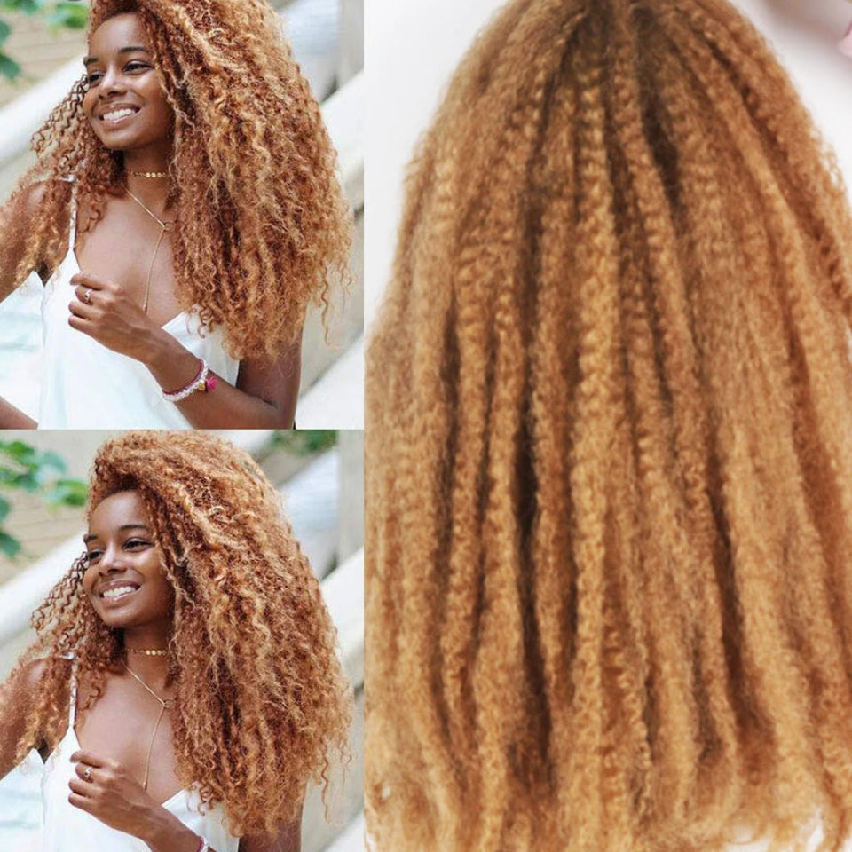 18-Inch Afro Kinky Marley Crochet Braiding Hair - Ombre Synthetic Crochet Braids Hair Extensions - High Temperature Fiber Marley Twist Hair for Protective Styles (30 Strands/Pack, 100g) Luxegan