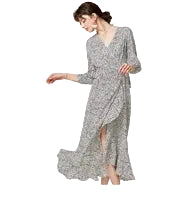 Print V-Neck Butterfly Sleeve Ruffle Regular Fit A-Line Mini Dress – Natural Waist, Chiffon, Summer Luxegan