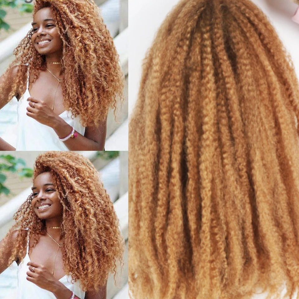 18-Inch Afro Kinky Marley Crochet Braiding Hair - Ombre Synthetic Crochet Braids Hair Extensions - High Temperature Fiber Marley Twist Hair for Protective Styles (30 Strands/Pack, 100g) Luxegan
