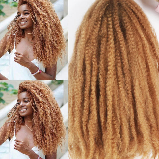 18-Inch Afro Kinky Marley Crochet Braiding Hair - Ombre Synthetic Crochet Braids Hair Extensions - High Temperature Fiber Marley Twist Hair for Protective Styles (30 Strands/Pack, 100g) Luxegan