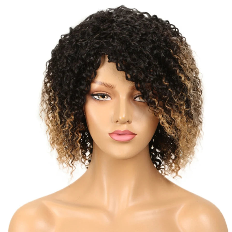 Jerry Curl & Afro Kinky Curly Human Hair Wig - 100% Brazilian Remy Short Glueless Lace Front Wig - T1B/4/27 & T1B/99J Ombre Highlight Curly Wig for Women (Fast Shipping) Luxegan