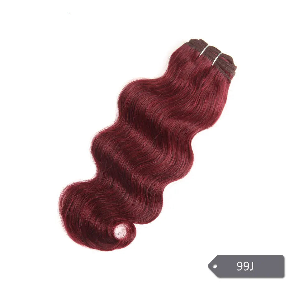 Brazilian Natural Body Wave Remy Human Hair Bundle | Colored #27 #30 #99J Burgundy | 10–22 Inch Luxegan