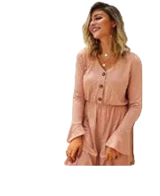 Print V-Neck Butterfly Sleeve Ruffle Regular Fit A-Line Mini Dress – Natural Waist, Chiffon, Summer Luxegan