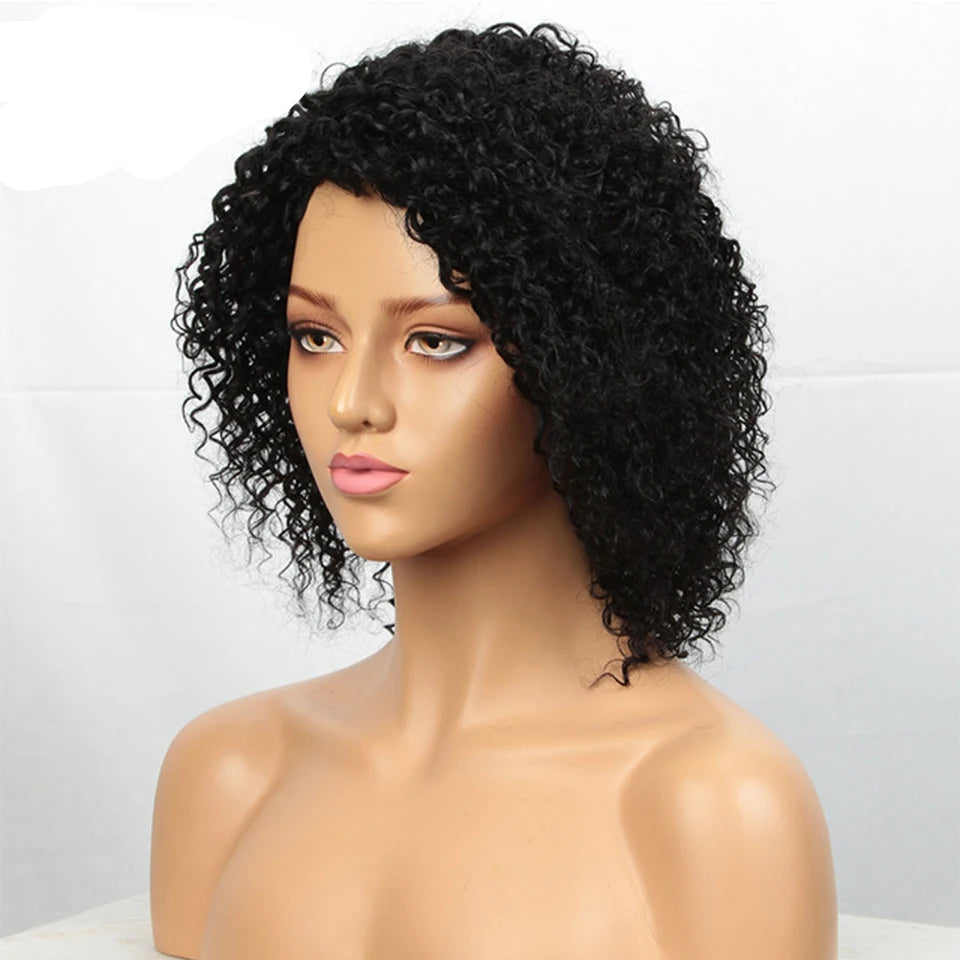 Jerry Curl & Afro Kinky Curly Human Hair Wig - 100% Brazilian Remy Short Glueless Lace Front Wig - T1B/4/27 & T1B/99J Ombre Highlight Curly Wig for Women (Fast Shipping) Luxegan