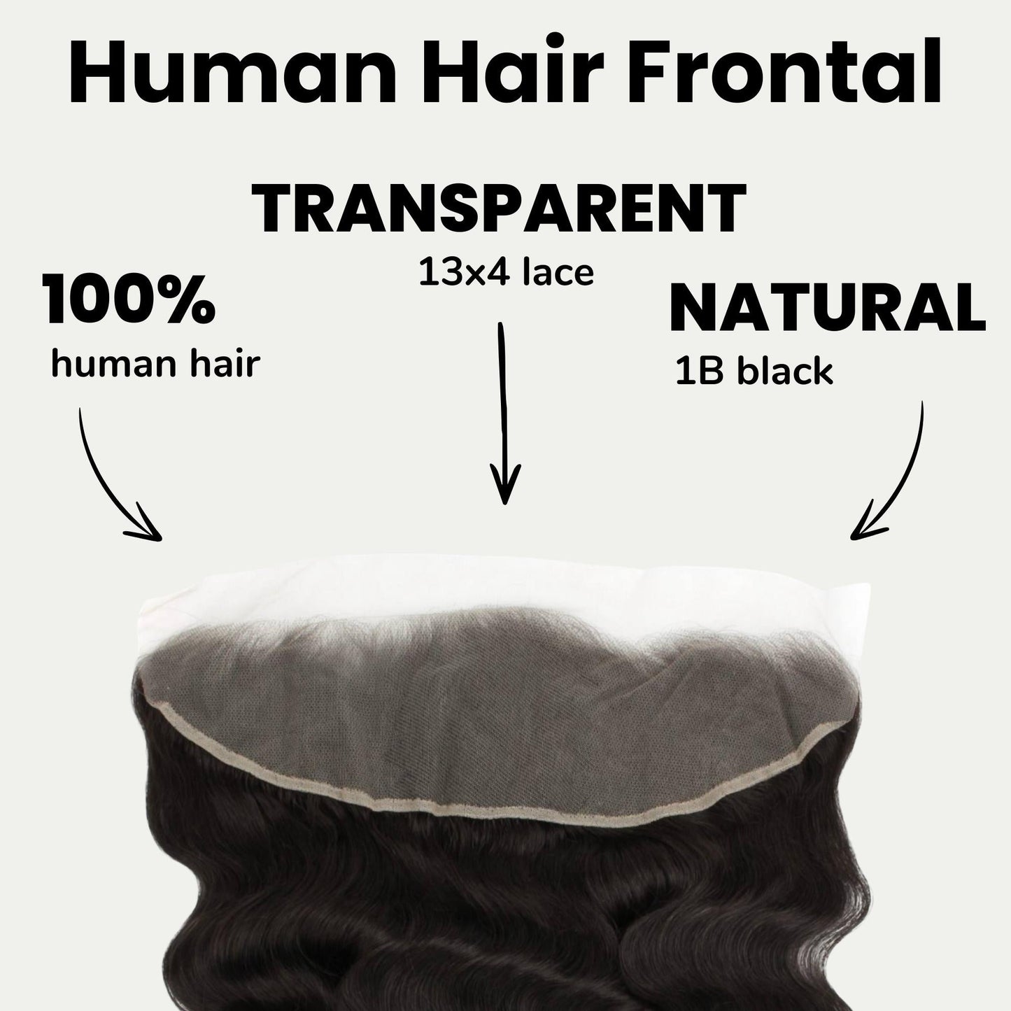 Loose Wave 13x4 Transparent Lace Human Hair Frontal Luxegan