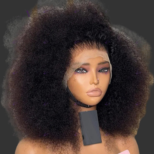 Ultra-High 450 Density Afro Kinky Curly HD Lace Wig | Sophisticated 360 Full Lace & 13x6 Frontal | Elegant "Brazilian Remy" Silhouette | "Dignified" Pre-Plucked Wear-and-Go Human Hair for Radiant Versatile Styling Luxegan