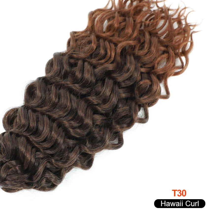 Deep Wave Twist Crochet Hair | Ombre Afro Curls Braiding Extensions | 18–24 Inches Luxegan