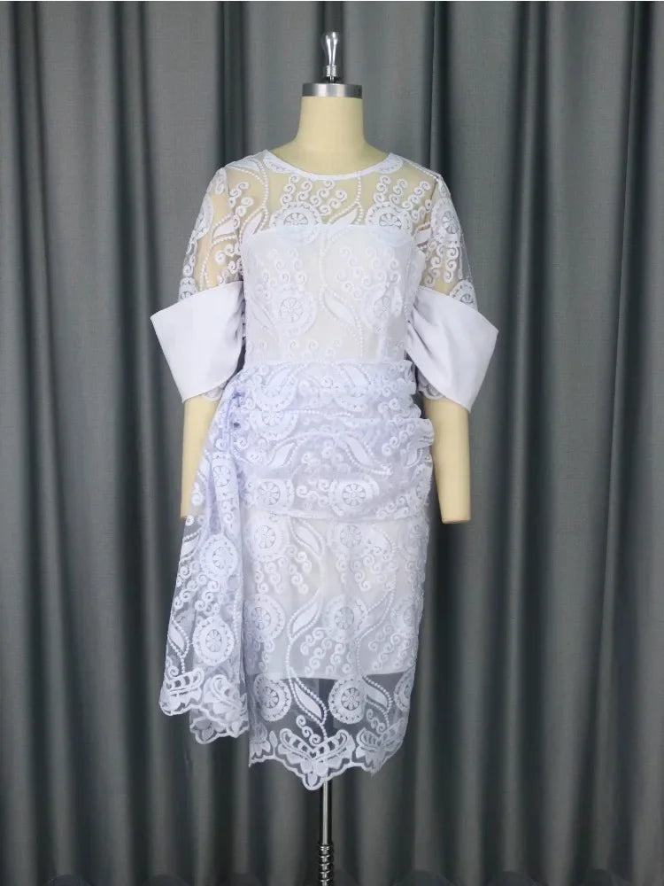 Solid Round Neck Embroidery and Lace Detail Regular Fit Pencil Midi Dress – Natural Waist, Spring/Winter Luxegan