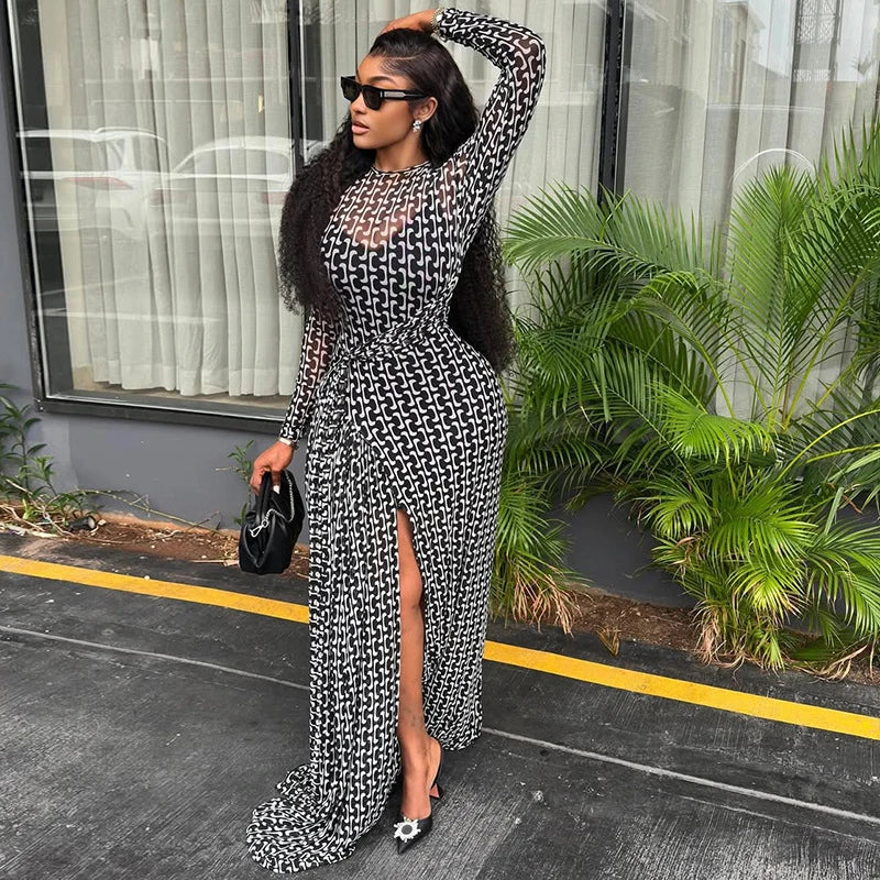 Vintage Printed Sexy See Through Mesh Women Dress Long Sleeve O Neck Slim Waist Big Hem Long Maxi Dress