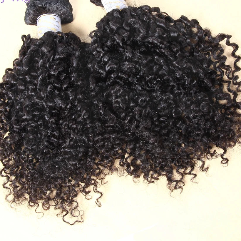 Burmese Curly Hair Bundles | 100% Remy Human Hair | Natural Black | 12–26 Inches Luxegan