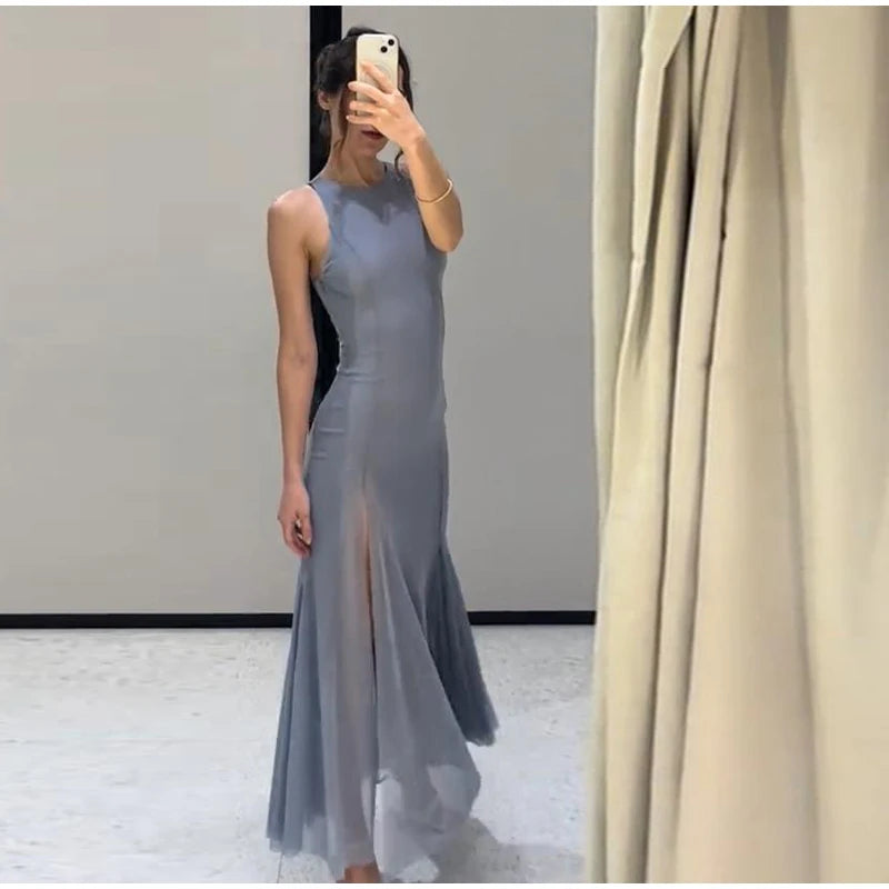 Sleeveless Mesh A-Line Maxi Dress Luxegan