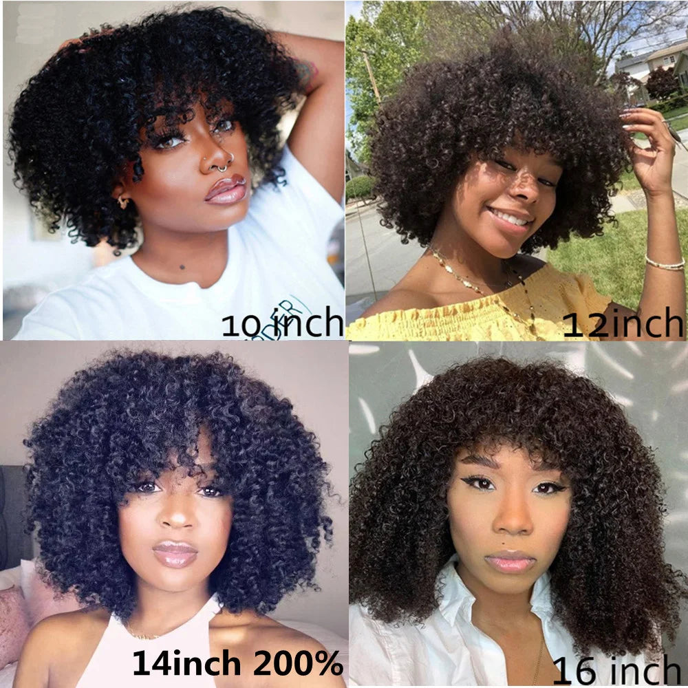 Afro Kinky Curly Human Hair Wig with Bangs | Brazilian Remy Hair | Short Curly Wig