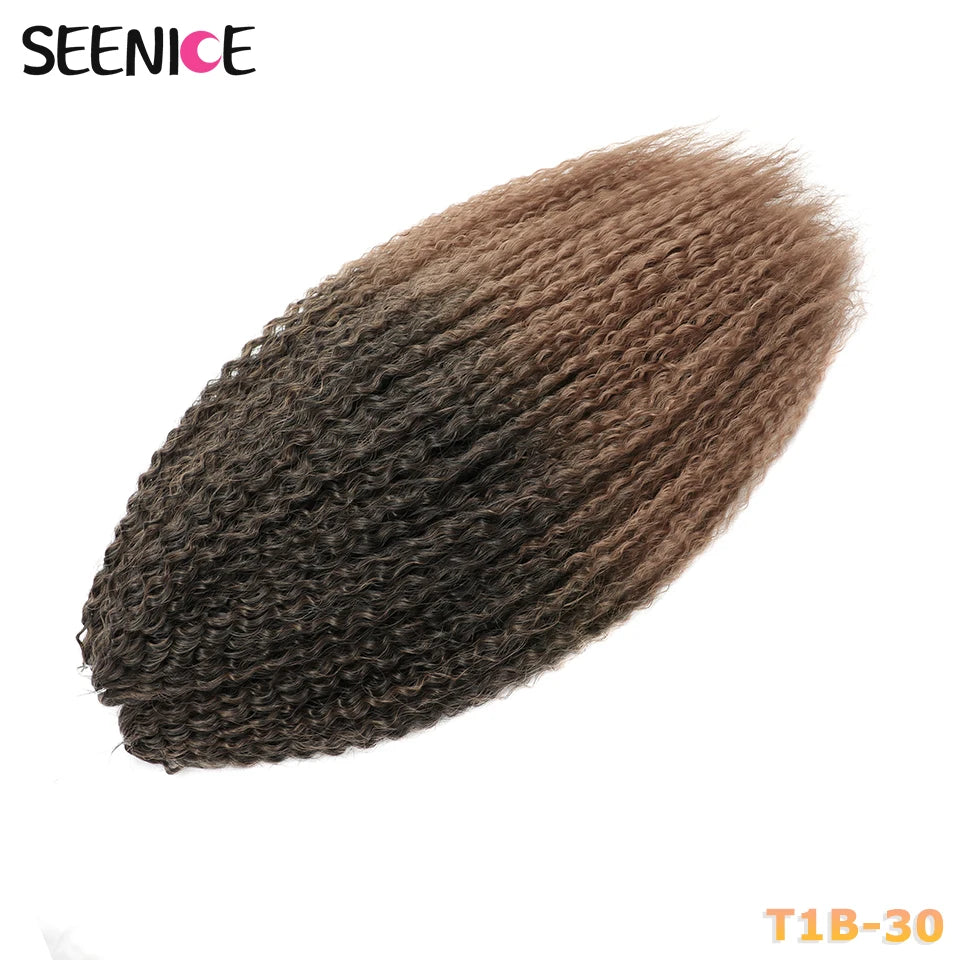 Afro Kinky Curly Crochet Braiding Hair Extensions – Ombre Synthetic Braids for Women | 20 & 28 - view 27