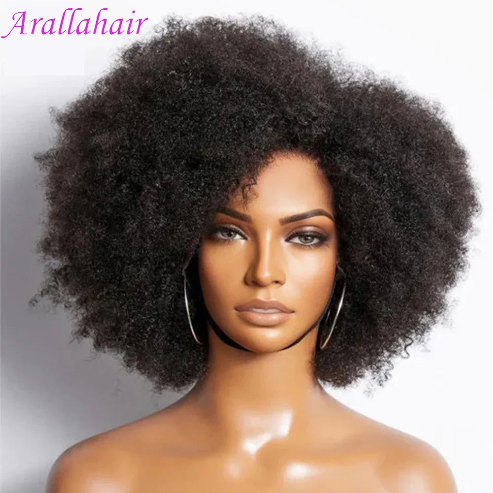 Afro Kinky Curly Lace Front Wig | Brazilian Remy Hair | HD Lace | Natural Hairline | 250% Density