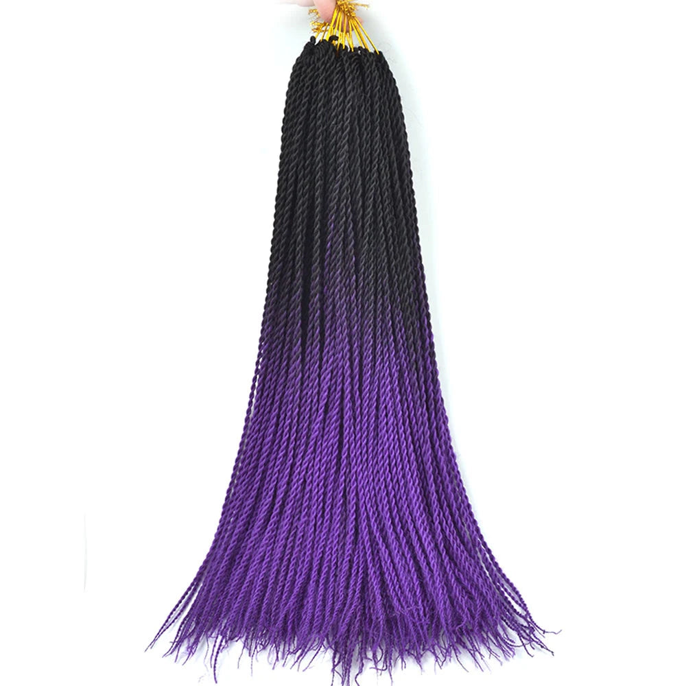 24-Inch Long Ombre Box Braids Crochet Hair - Pre-Looped Synthetic Braiding Hair Extensions - High Temperature Fiber 22 Strands/Pack Piano Color Crochet Braids for Women & Girls (27 Colors Available)