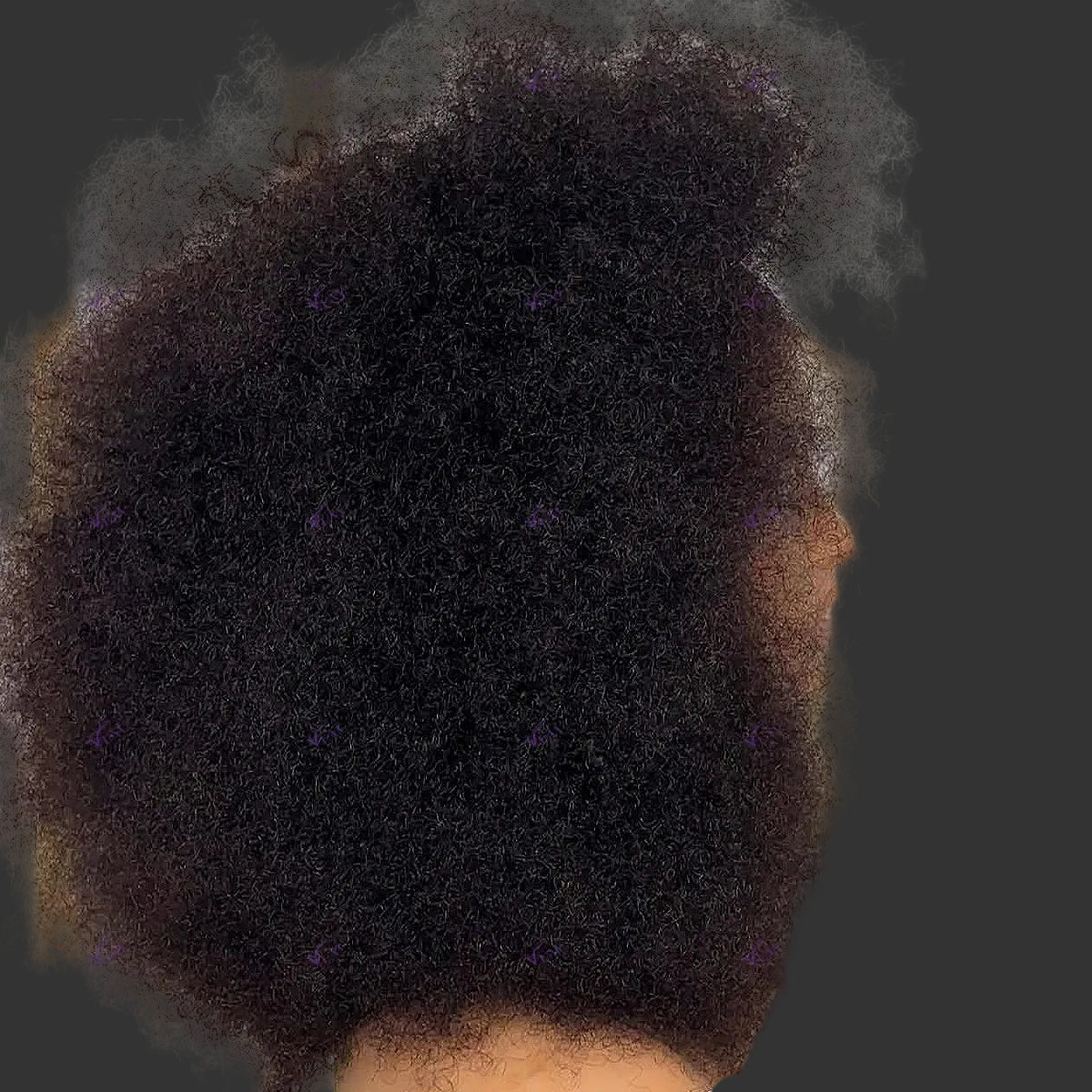 Ultra-High 450 Density Afro Kinky Curly HD Lace Wig | Sophisticated 360 Full Lace & 13x6 Frontal | Elegant "Brazilian Remy" Silhouette | "Dignified" Pre-Plucked Wear-and-Go Human Hair for Radiant Versatile Styling Luxegan