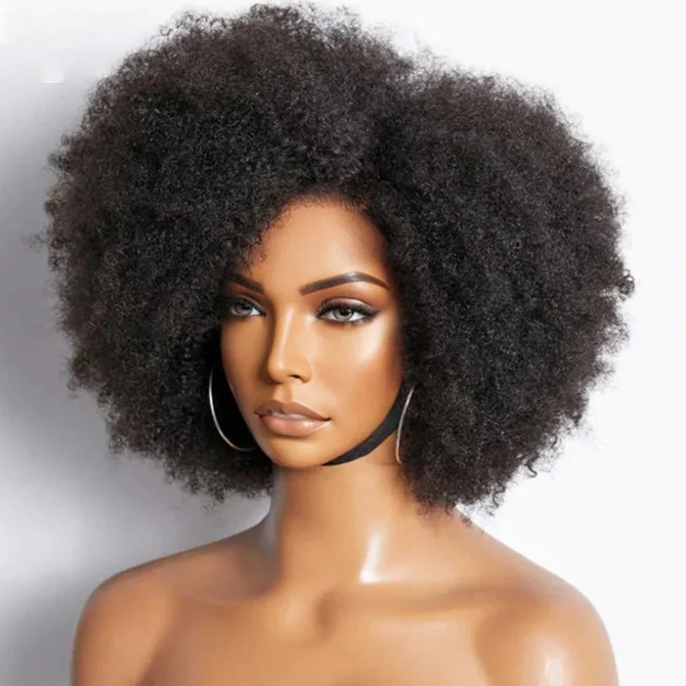 Afro Kinky Curly Lace Front Wig | Brazilian Remy Hair | HD Lace | Natural Hairline | 250% Density