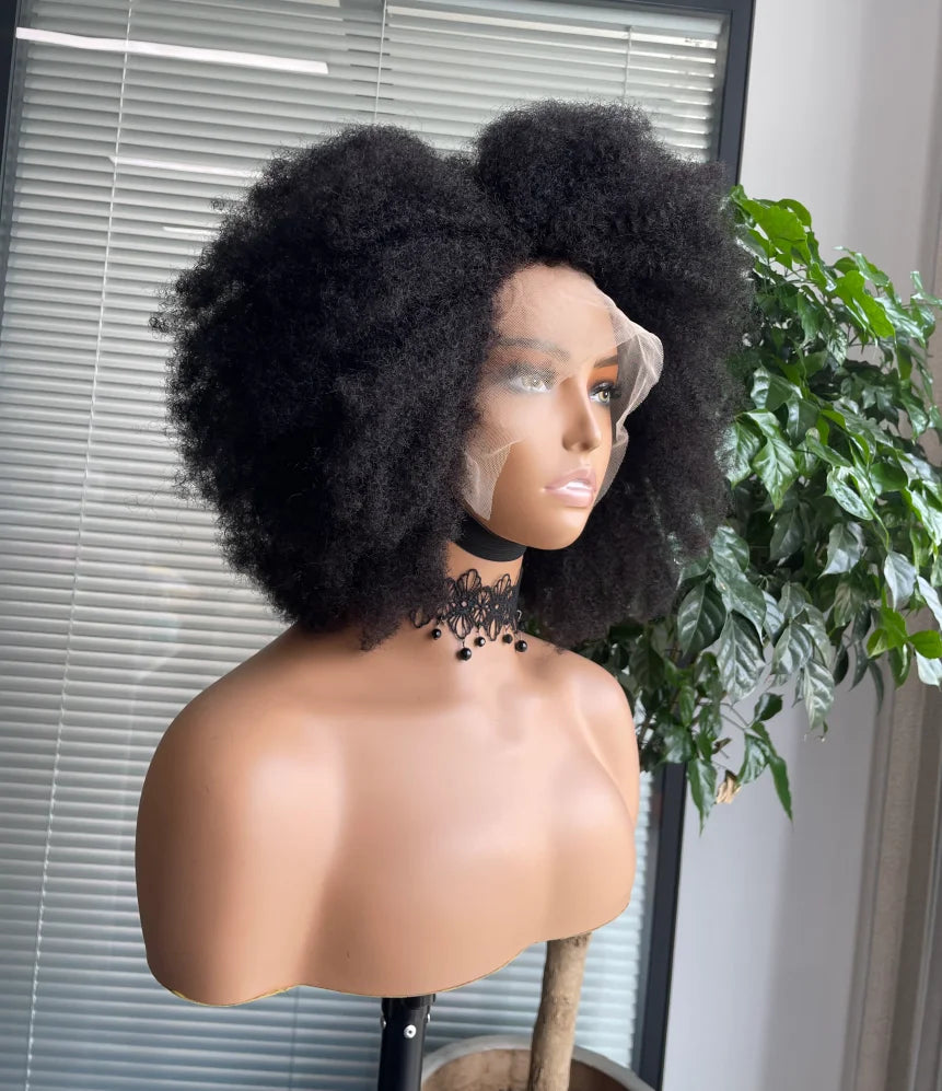 Afro Kinky Curly Lace Front Wig | Brazilian Remy Hair | HD Lace | Natural Hairline | 250% Density