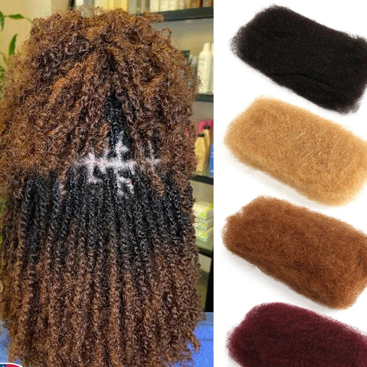 Afro Kinky Bulk Human Hair | 100% Remy Curly Braiding Hair for Dreadlocks & Braids 10"–22"