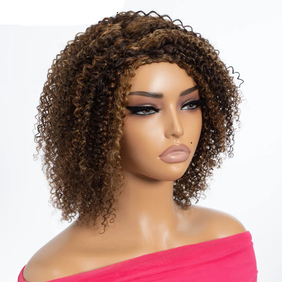 Afro Kinky Curly Black & Ombre T1B/30 Human Hair Wig | Brazilian Remy Machine Made Glueless Wigs for Women (Affordable) Luxegan