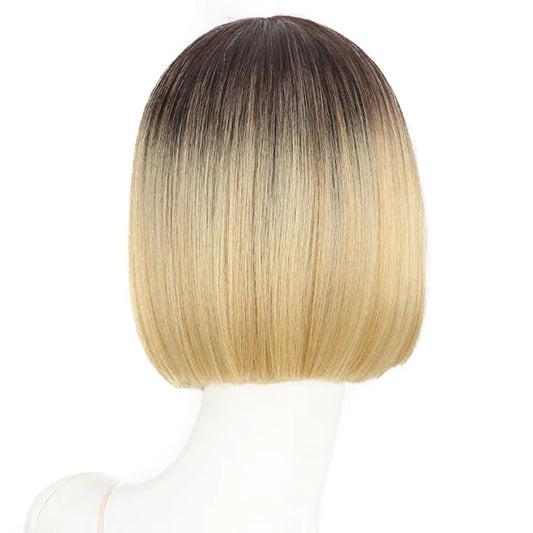 10 Inch Ombre Brown Straight Short Bob Wig | Synthetic Lace Front Wigs for Women (Heat Resistant Fiber, Cosplay & Daily Use) Luxegan
