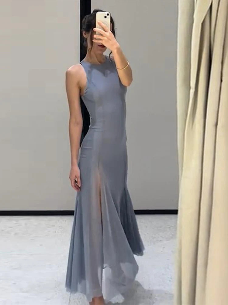 Sleeveless Mesh A-Line Maxi Dress Luxegan