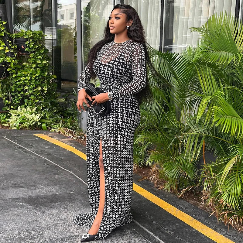 Vintage Printed Sexy See Through Mesh Women Dress Long Sleeve O Neck Slim Waist Big Hem Long Maxi Dress