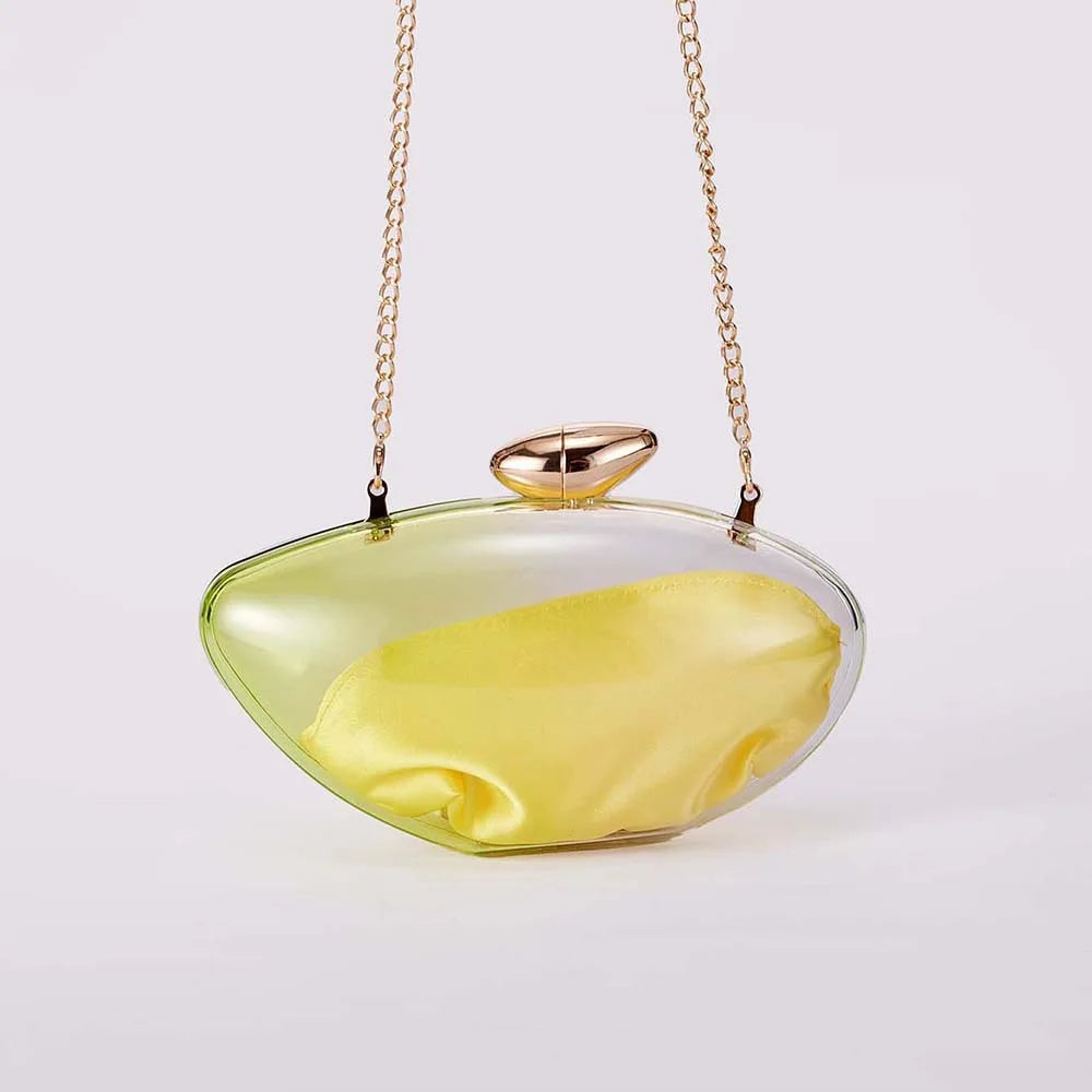 Elegant TPU Shell Clutch | Designer Handbag for Evening & Parties Luxegan
