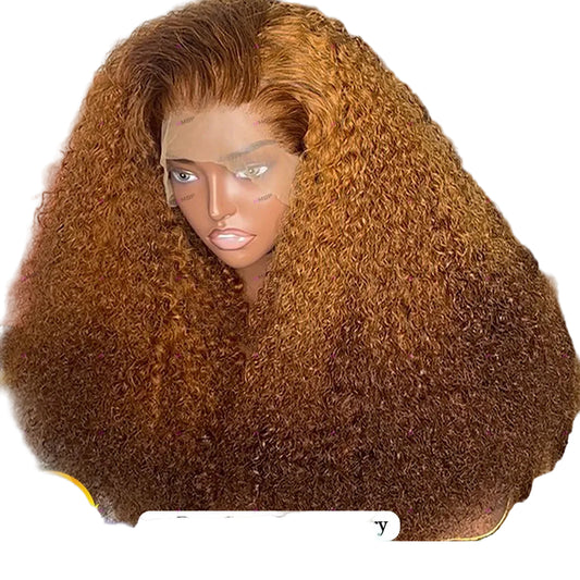 Glueless Honey Blonde Kinky Curly Wig | Sophisticated 400 Density 360 Full Lace | Elegant "12A High Grade" Brazilian Remy 26+ Inch Length | "Dignified" HD Transparent Wear-and-Go Human Hair for Radiant Versatile Styling Luxegan