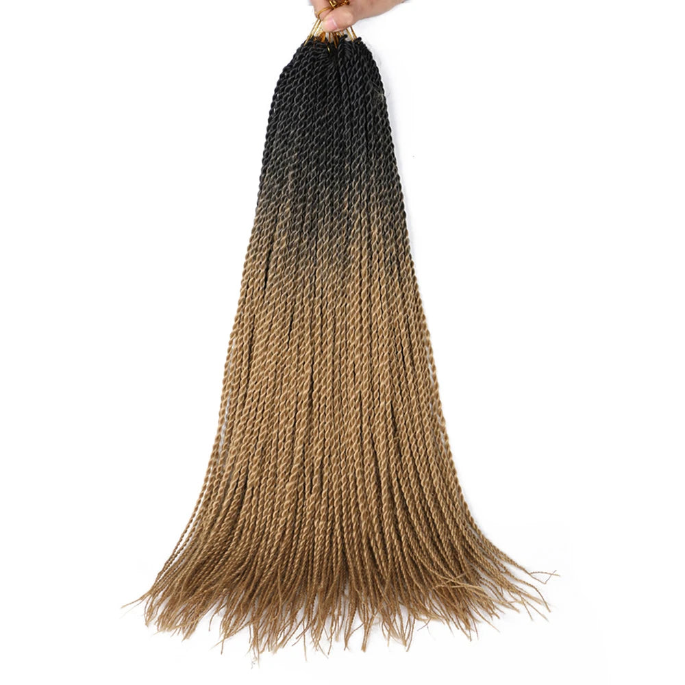 24-Inch Long Ombre Box Braids Crochet Hair - Pre-Looped Synthetic Braiding Hair Extensions - High Temperature Fiber 22 Strands/Pack Piano Color Crochet Braids for Women & Girls (27 Colors Available)
