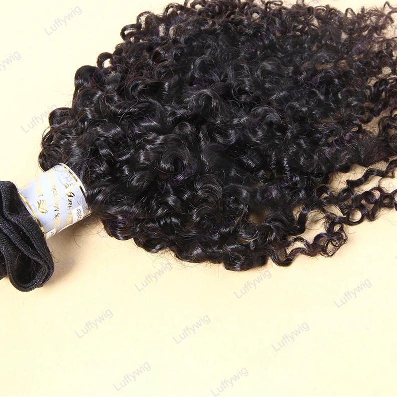 Burmese Curly Hair Bundles | 100% Remy Human Hair | Natural Black | 12–26 Inches Luxegan